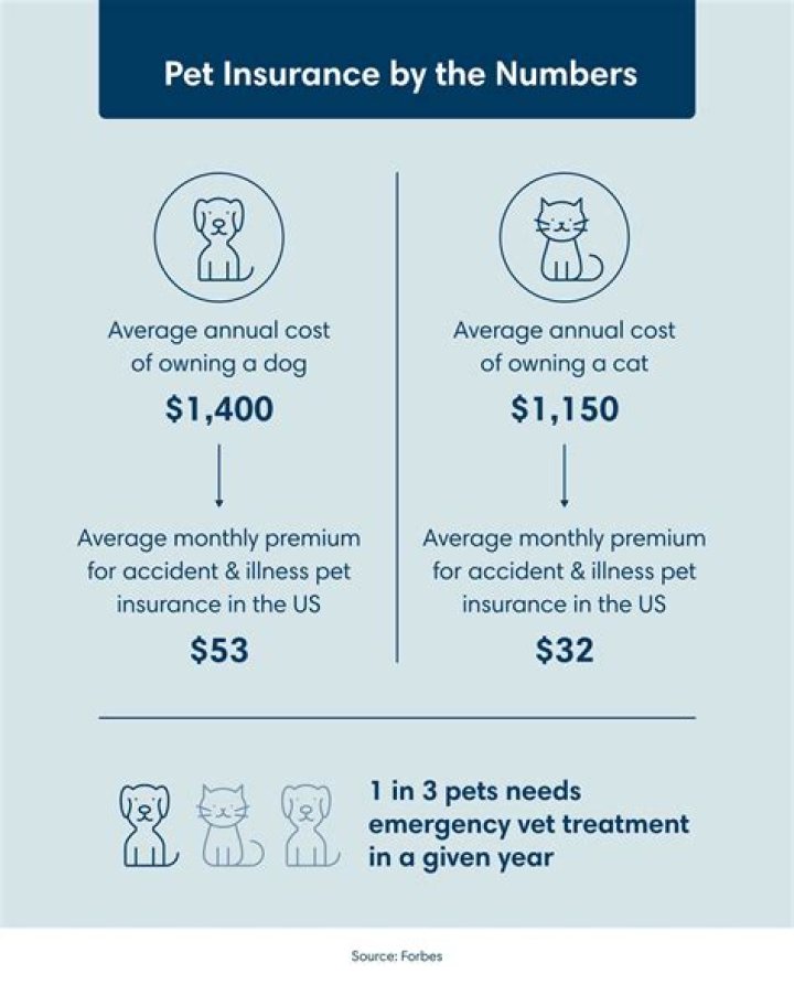 Who underwrites pet insurance in Australia?