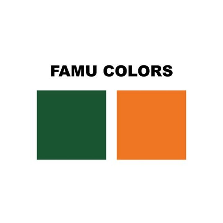 Why are FAMU colors orange and green?