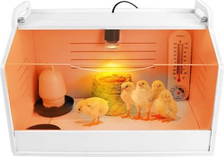 Why are heating systems necessary in poultry brooders?