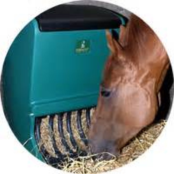 Why are horses trickle feeders?