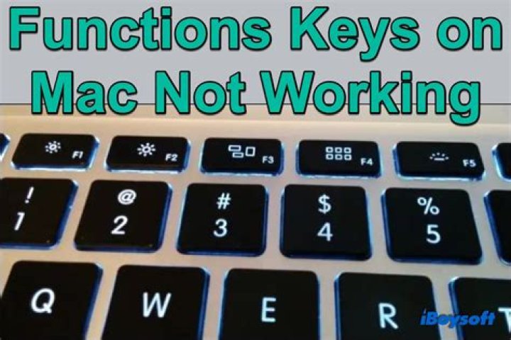 Why are my f keys not working Mac?
