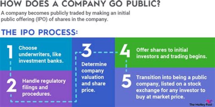 Why are publicly traded businesses required to release financial statements to the public?