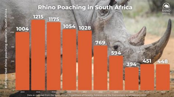 Why are rhinos poached in South Africa?