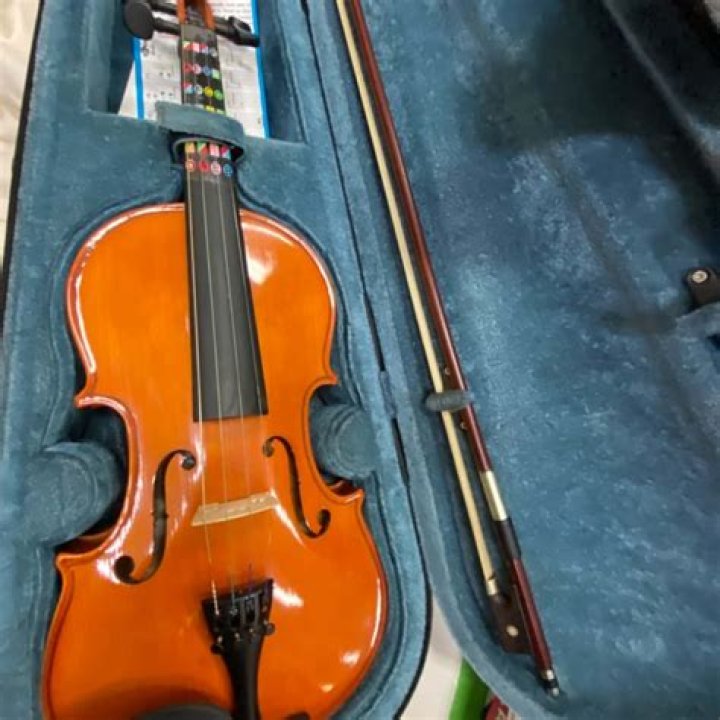 Why are violins fretless?