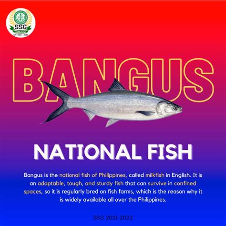 Why bangus is our national fish?