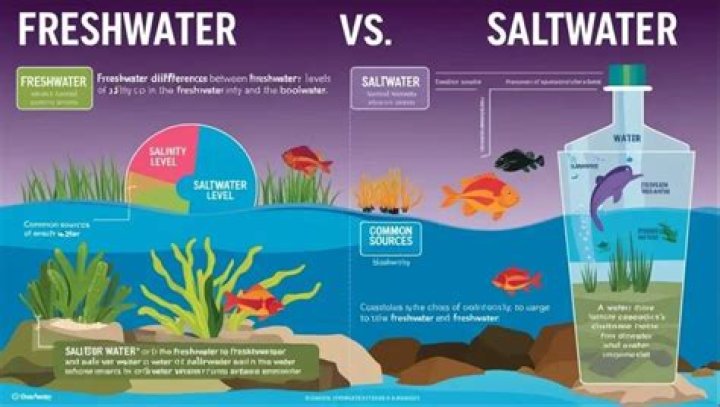 Why can't freshwater plants live in saltwater?