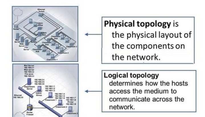 Why can a single physical topology support multiple logical topologies?