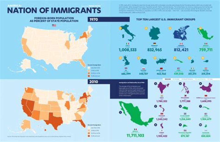 Why did most immigrants settle in the cities?