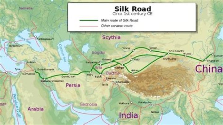 Why did the Chinese silk trade die during the Ming Dynasty?