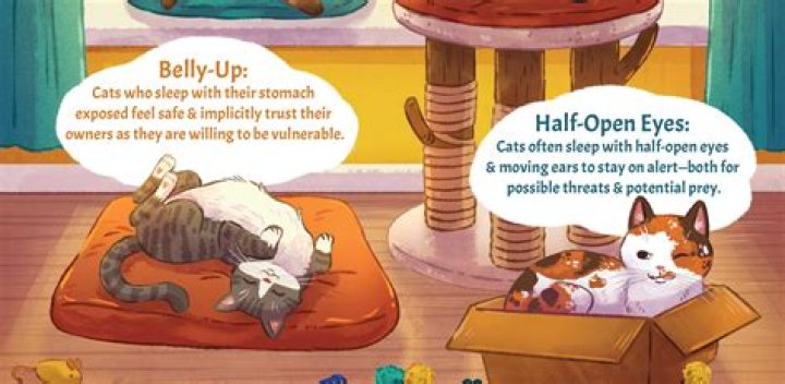Why do cats bother you when you sleep?
