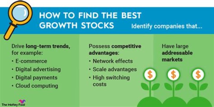 Why do companies invest in it?