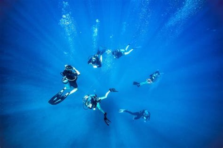 Why do divers use chamois?