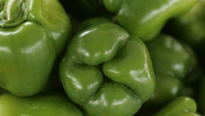 Why do Hoosiers call green peppers mangoes?
