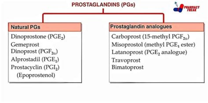 Why do I have high levels of prostaglandins?