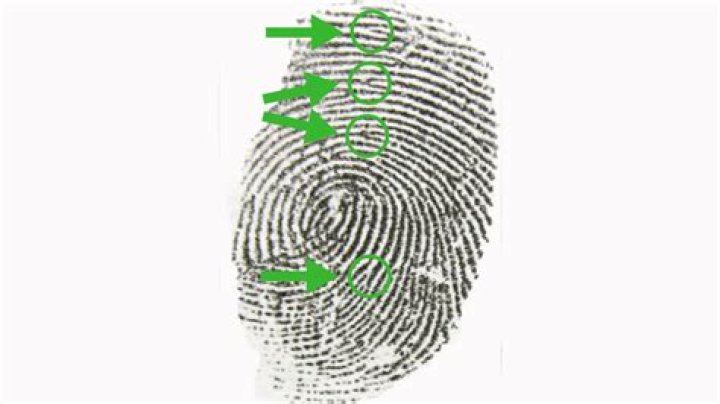 Why do theme parks take fingerprints?
