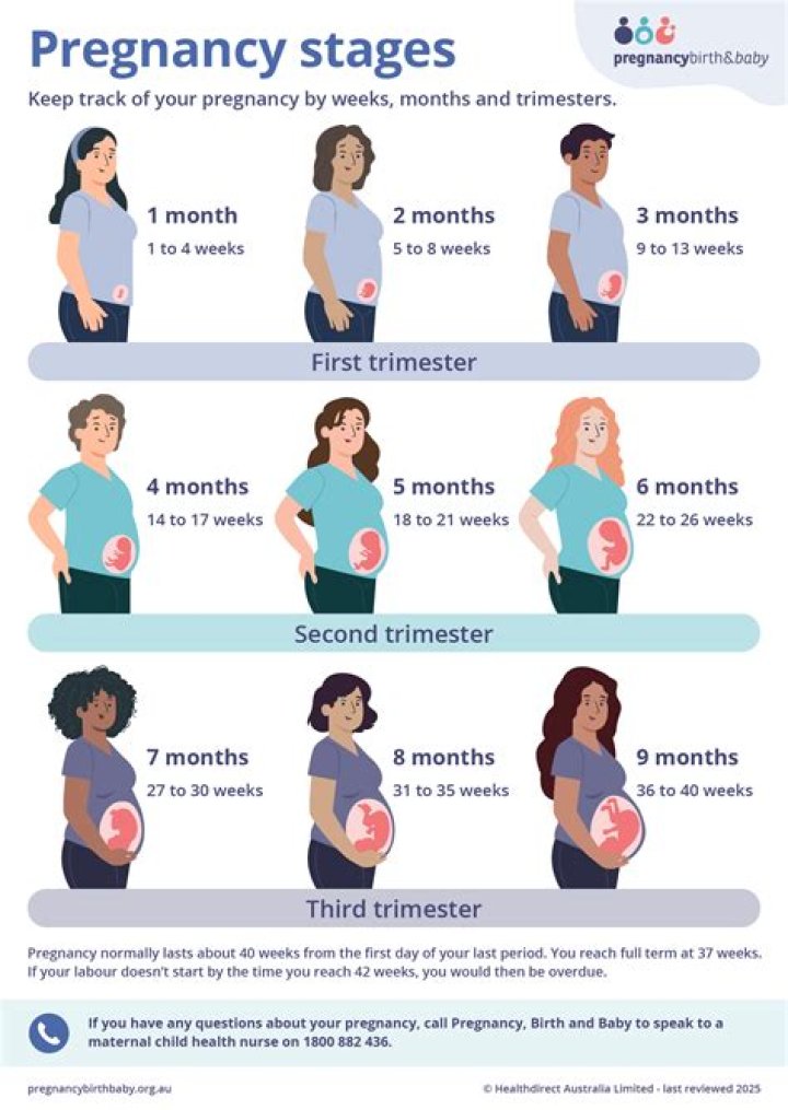 Why do they say pregnancy is 9 months when it's really 10?