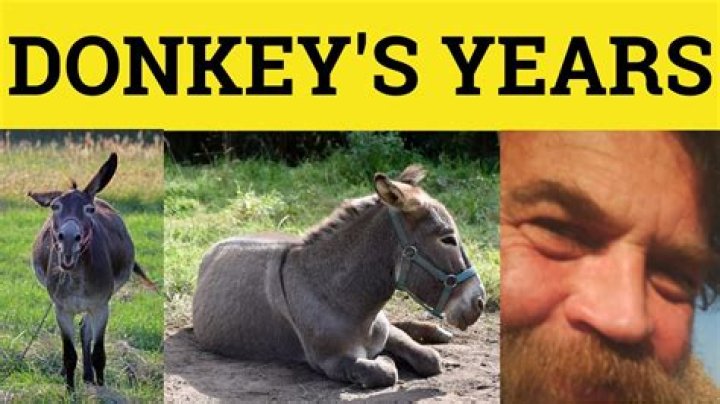 Why do we say donkeys years ago?