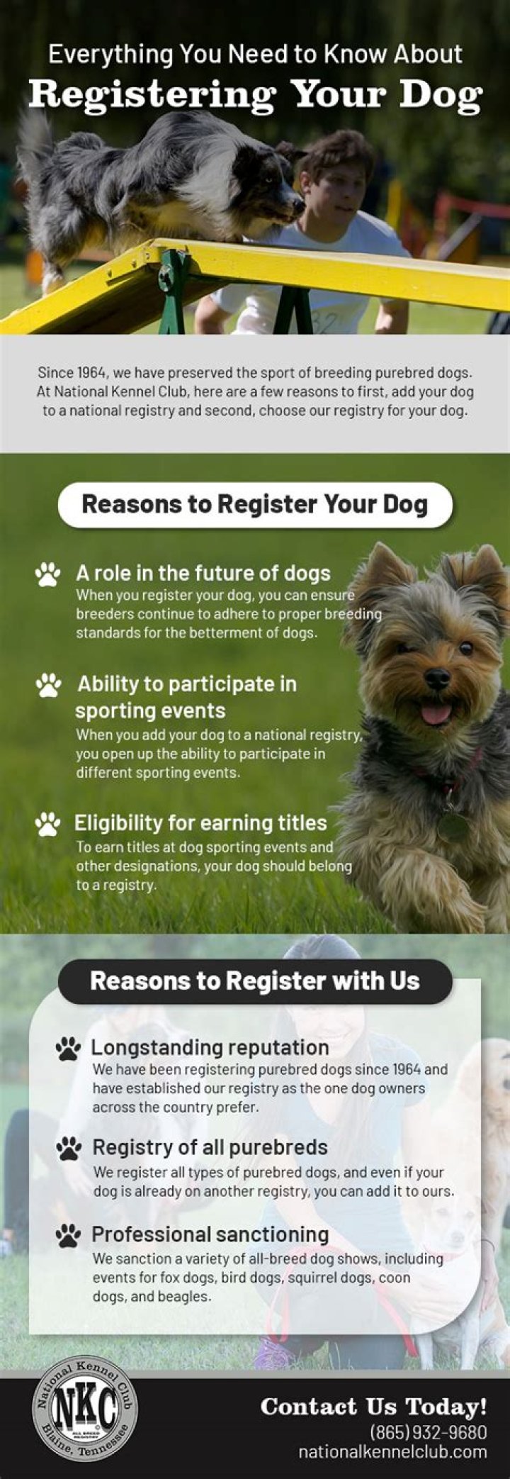 Why do you register your dog?