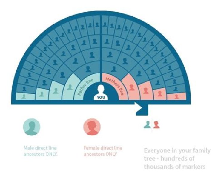 Why does ancestry DNA take so long?