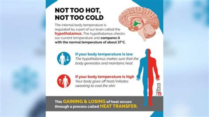 Why does it feel colder than it is?