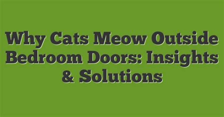 Why does my cat meow outside my bedroom door?