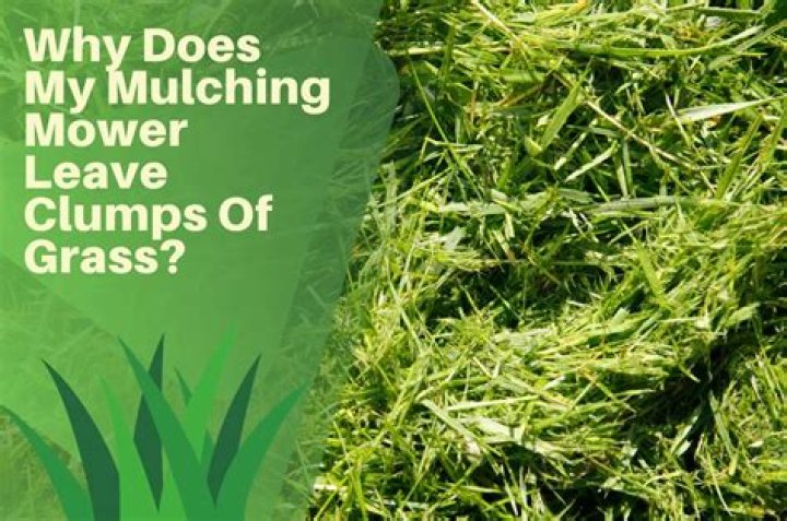 Why does my grass clump when I mow?