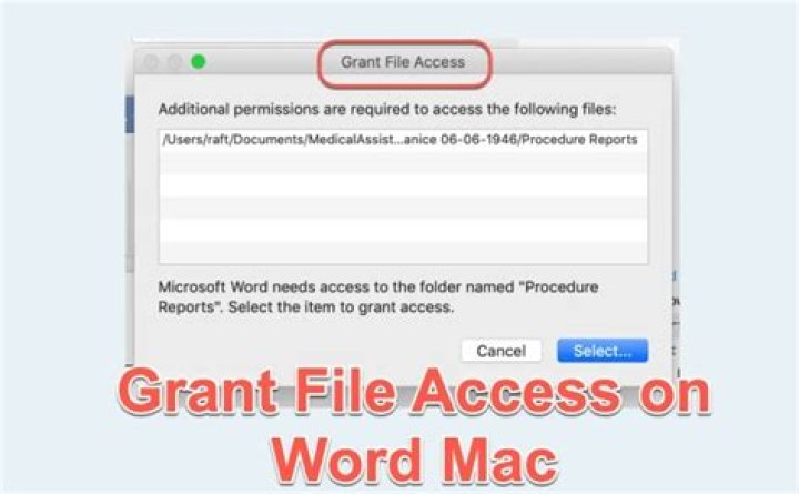 Why does my Mac say grant file access?