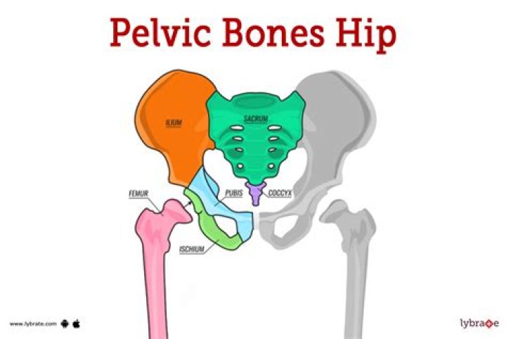 Why does my pelvic bone protrude?