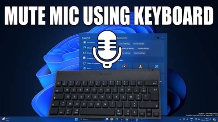Why does Skype mute my microphone?