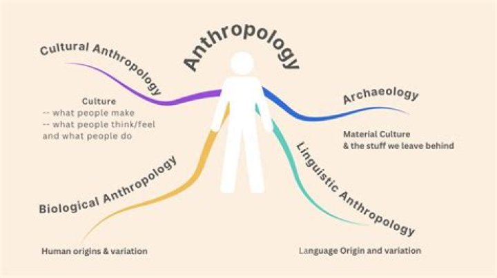 Why is anthropology a holistic discipline?
