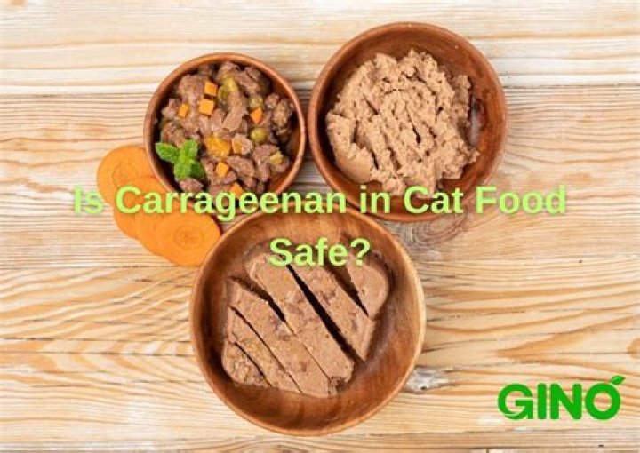 Why is carrageenan used in cat food?