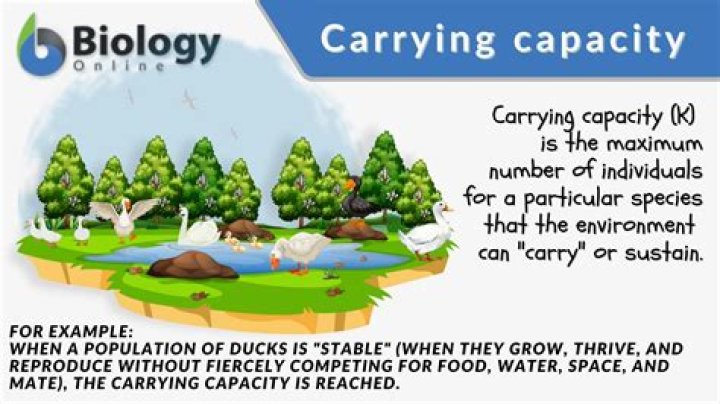 Why is carrying capacity important in wildlife?