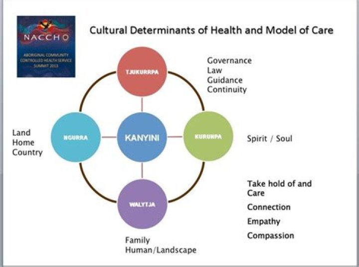 Why is culture a determinant of health?