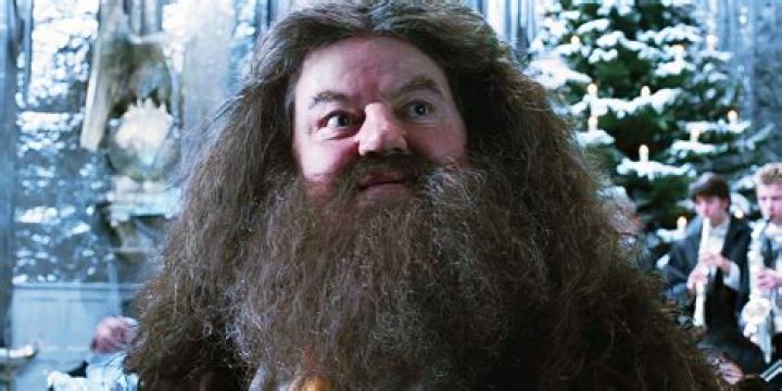 Why is Hagrid's ride closed today?