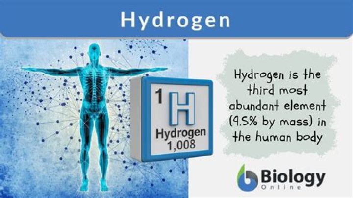 Why is hydrogen the most important element?