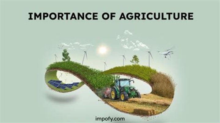 Why is industrial agriculture important?
