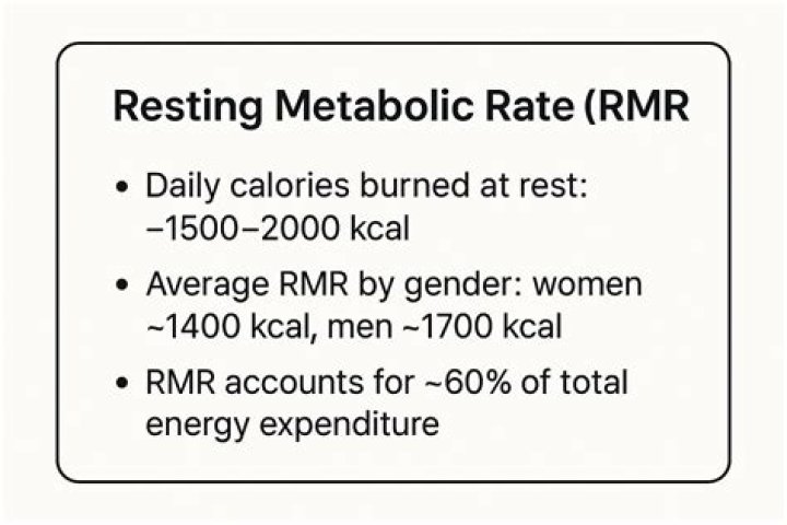 Why is it important to know your resting metabolic rate?