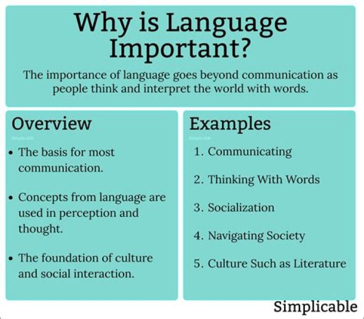 Why is language important to mass media?