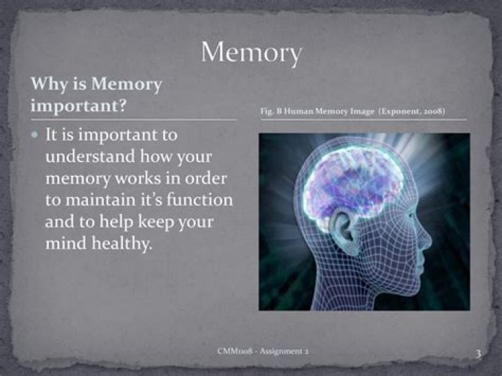 Why is memory so important in childhood and adolescence?