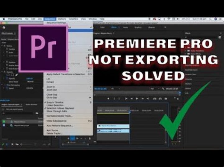 Why is my Premiere Pro not exporting?