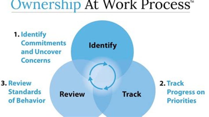 Why is ownership important in the workplace?