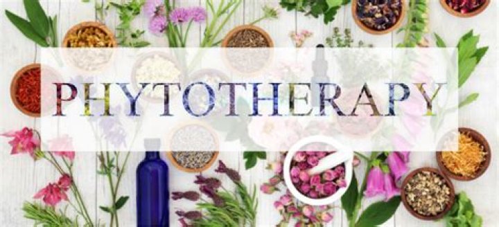Why is Phytotherapy important?