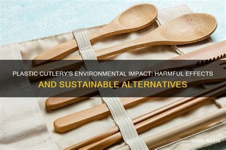 Why is plastic cutlery bad?