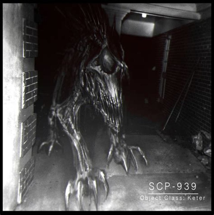 Why is SCP stalled?