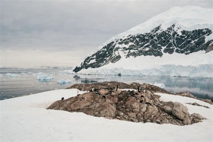 Why is the Arctic a fragile environment?