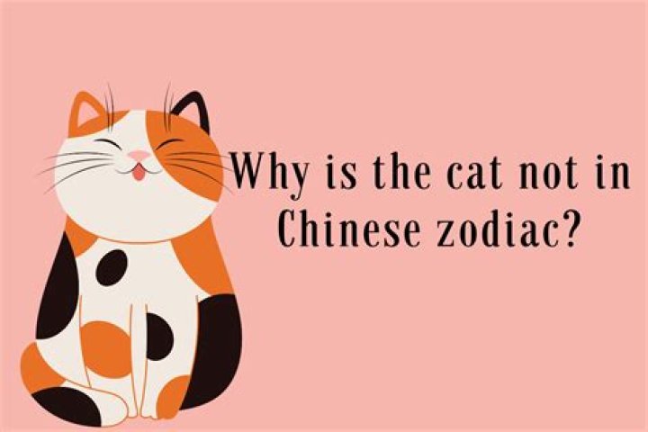 Why is the cat logo a triangle?