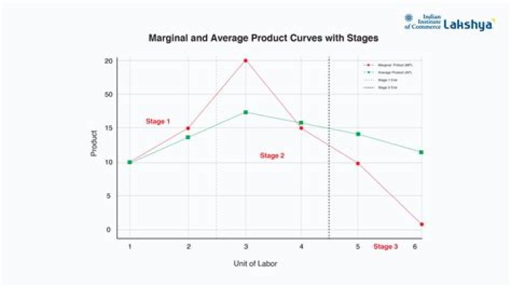 Why is the MP curve a horizontal line?
