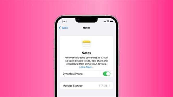 Why is the Notes app crashing?