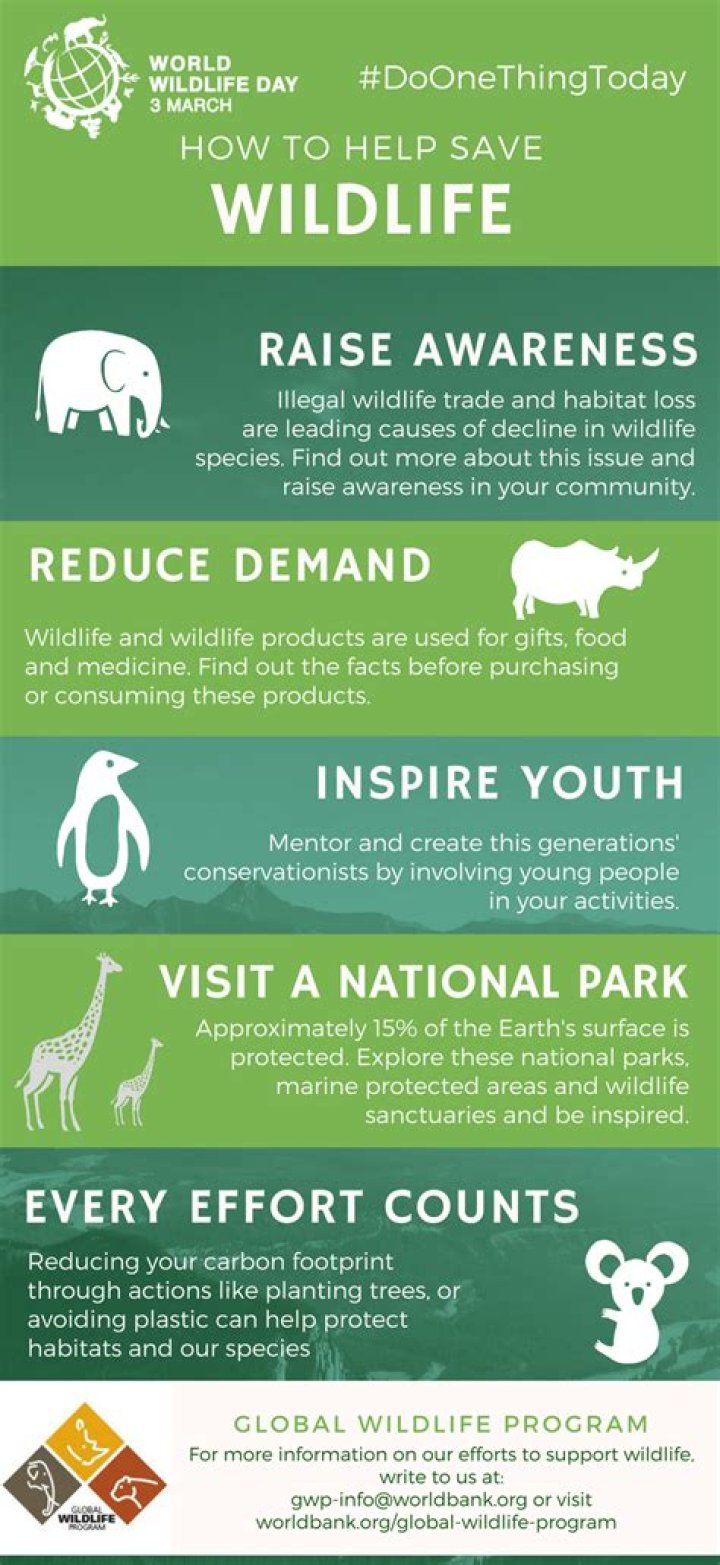 Why is there a need to protect wildlife How can you help protect wildlife?