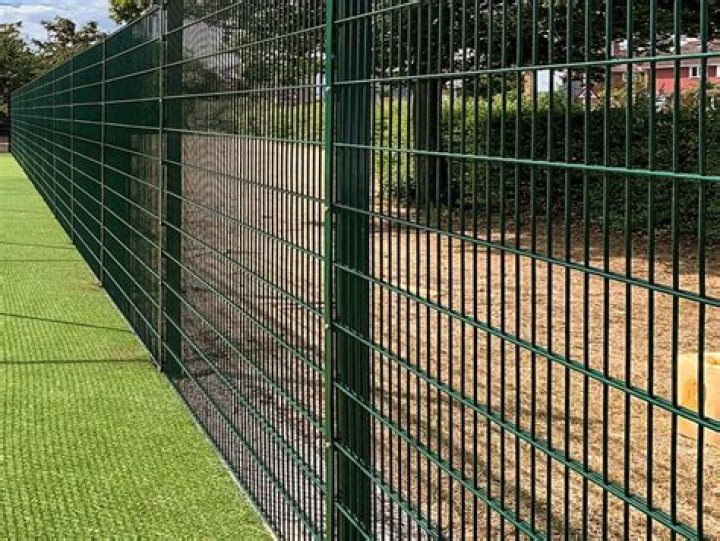 Why should schools have fences?